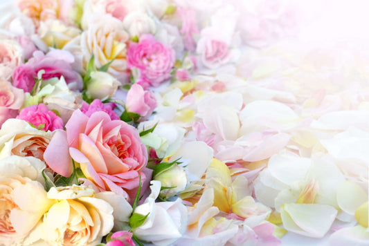 5 Reasons For Having a Wedding in Spring